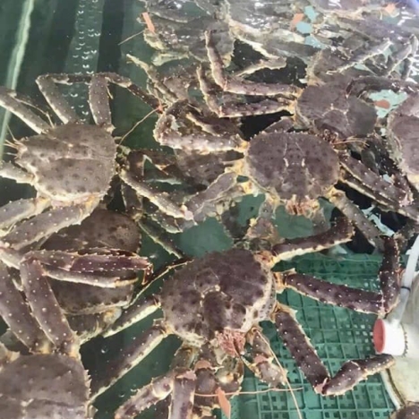 Cua Hoàng Đế