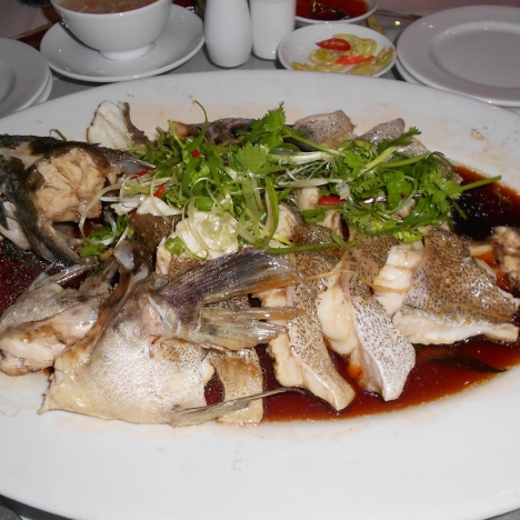 Cá Bóng Tượng
