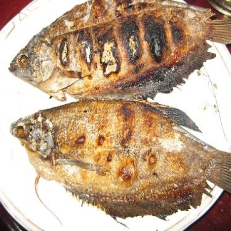 Khô Cá Sặc