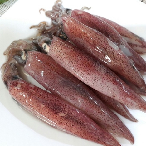 Mực trứng 
